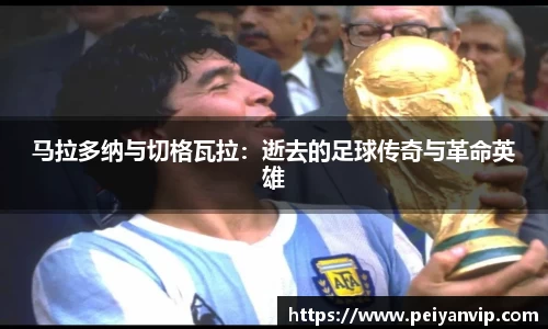 马拉多纳与切格瓦拉：逝去的足球传奇与革命英雄